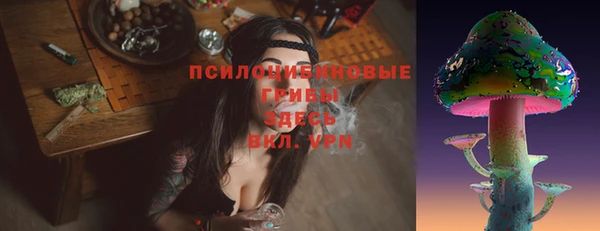 ПСИЛОЦИБИНОВЫЕ ГРИБЫ Алзамай