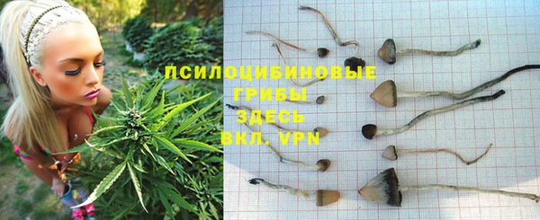 ПСИЛОЦИБИНОВЫЕ ГРИБЫ Алзамай