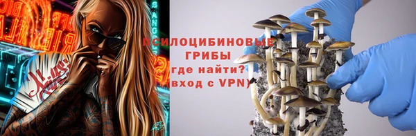 ПСИЛОЦИБИНОВЫЕ ГРИБЫ Алзамай