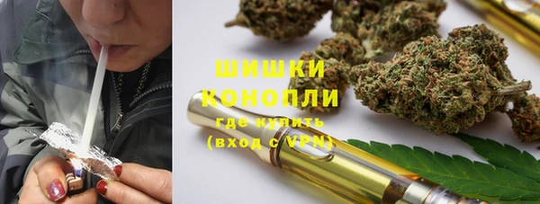ПСИЛОЦИБИНОВЫЕ ГРИБЫ Алзамай